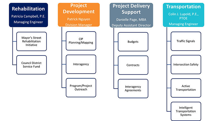 Project Delivery Org Chart