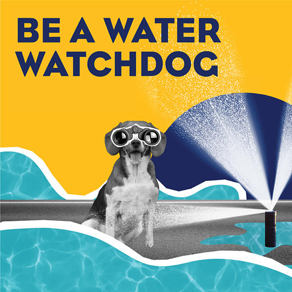 BAW Watchdog