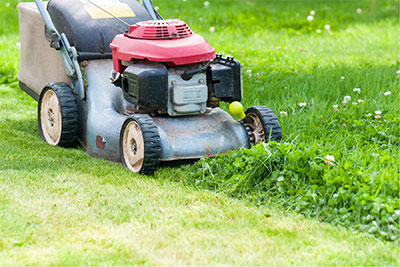 lawn mower image