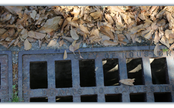 drainage image