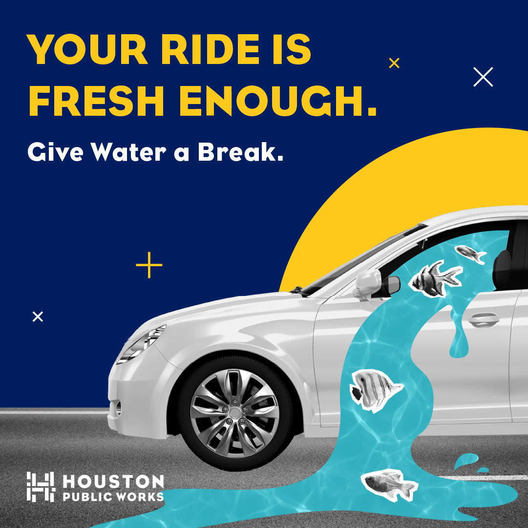 Your Ride Is Fresh Enough